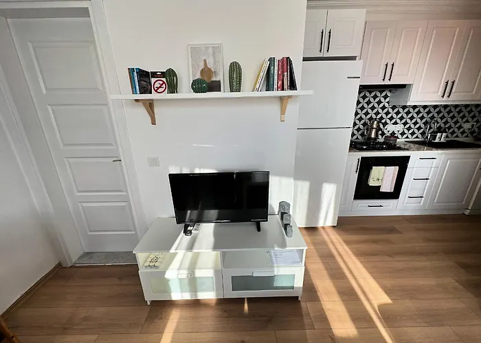 House Of Spring Daire